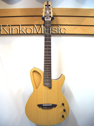 acoustic_guitar-Aria NXG-01.jpg