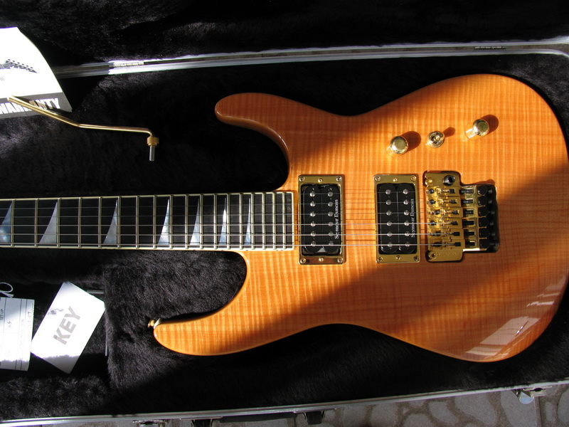 jackson SL2H (2).jpg