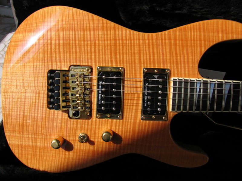 jackson SL2H (10).jpg