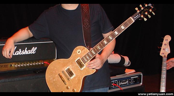 Les Paul Standard Birdeyes