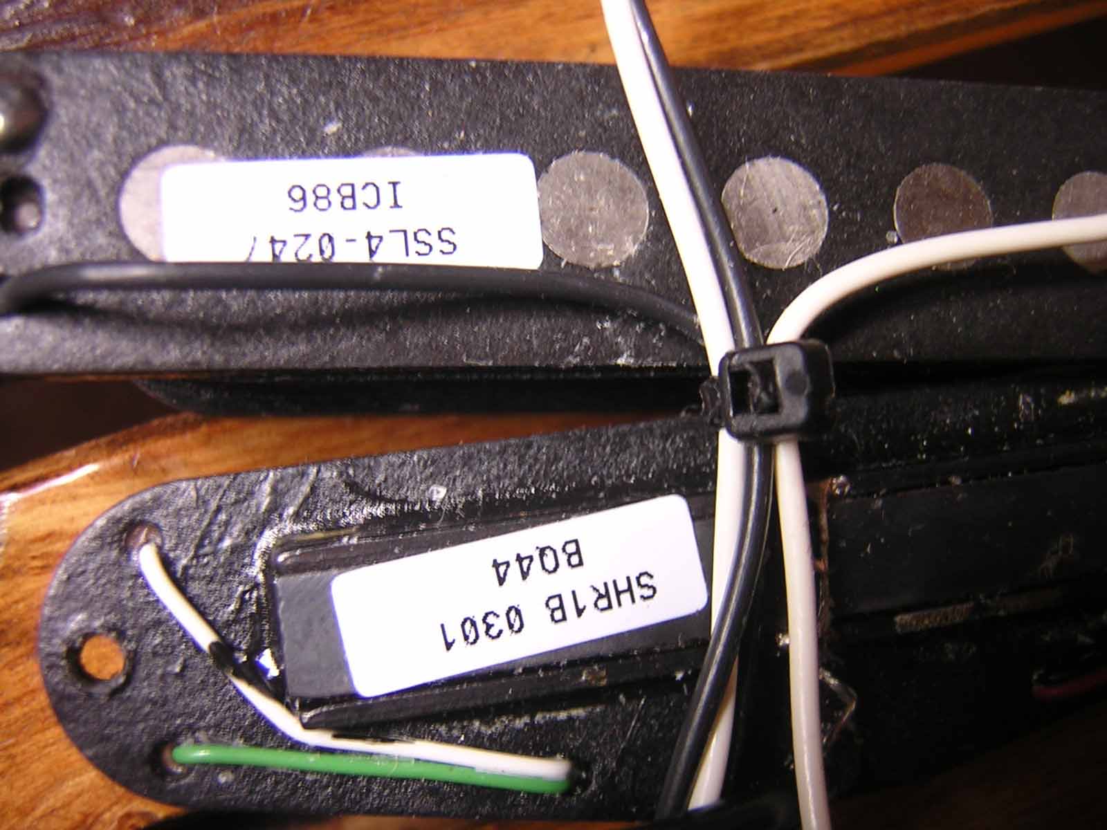 DSCN3693.jpg