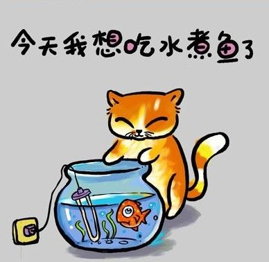 36a8ab019ca6fab6e850cd7e.jpg