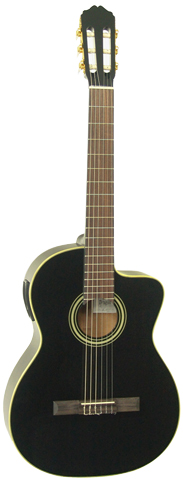 Takamine ED31C BL.jpg