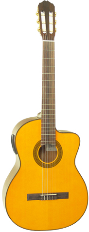 Takamine ED30C N.jpg