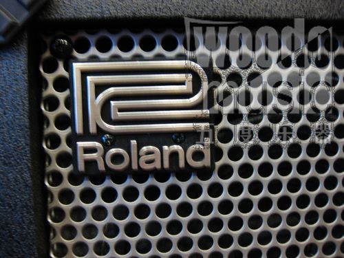 ROLAND CUBE 15X 2.JPG