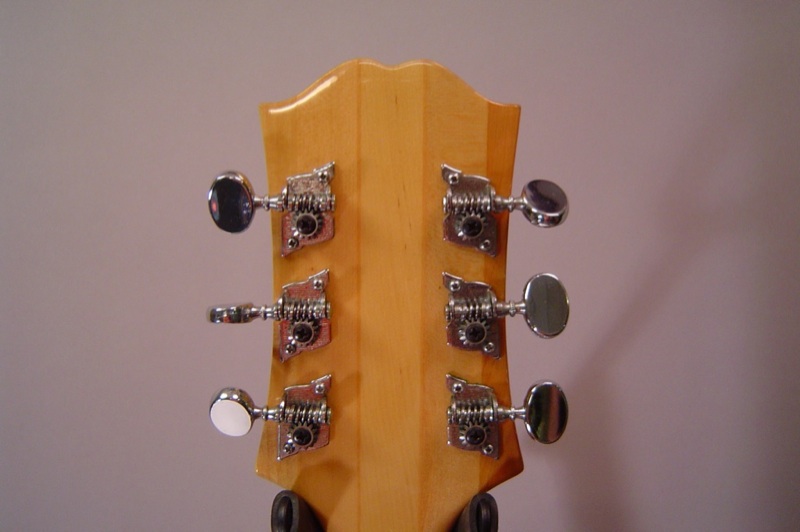 gibsonepi-1266102806-2696.jpg