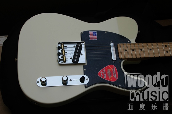 FENDER AM SPECIAL TELE-2.jpg