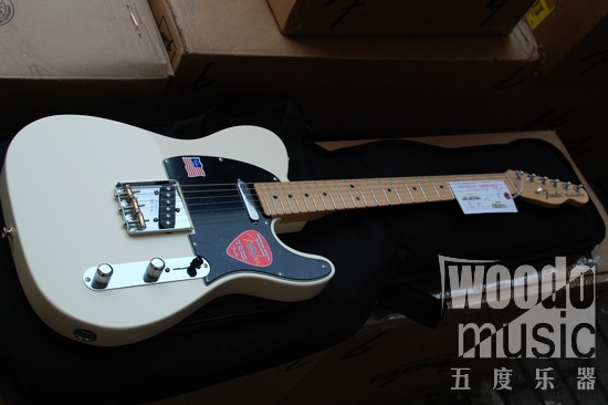 FENDER AM SPECIAL TELE-1.jpg