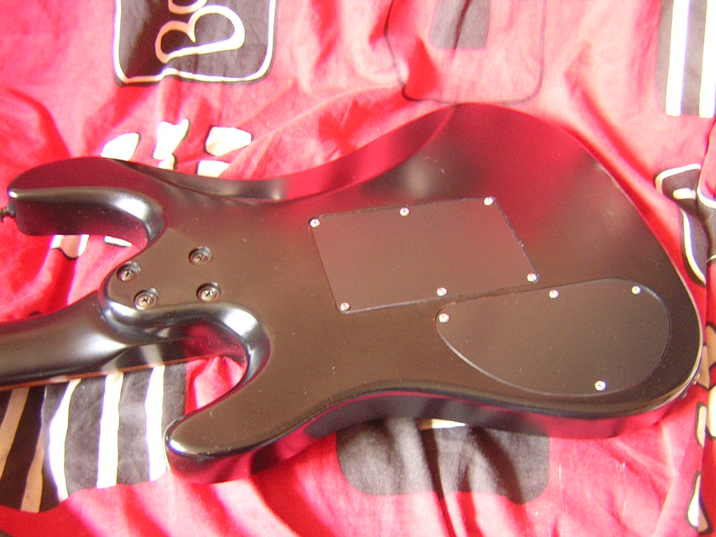DSCN3778.JPG