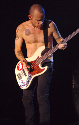 Flea[1].jpg