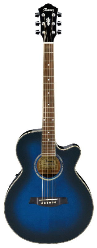 IBANEZ AEG10E.jpg.jpg