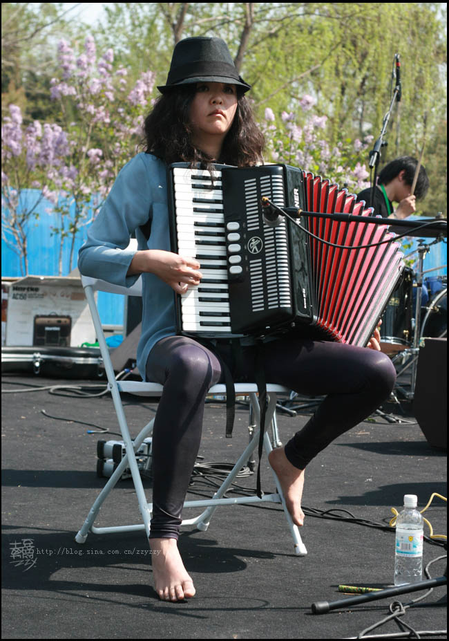 midi 观众 (4).jpg