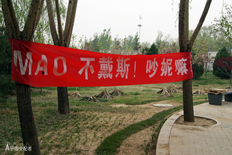 DSC03952 副本.JPG