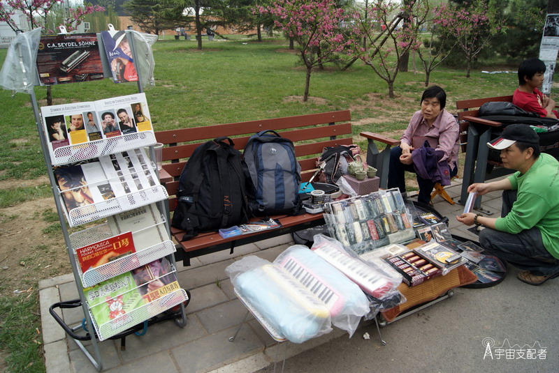 DSC03933 副本.JPG