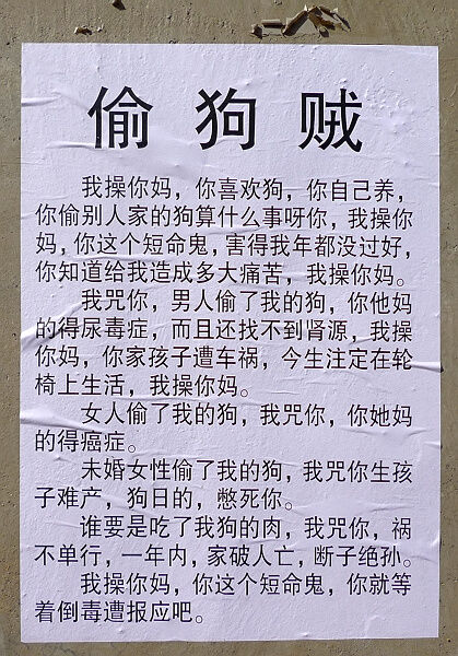 偷狗贼.jpg