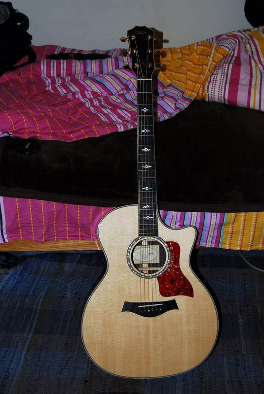 taylor814ce-5.JPG