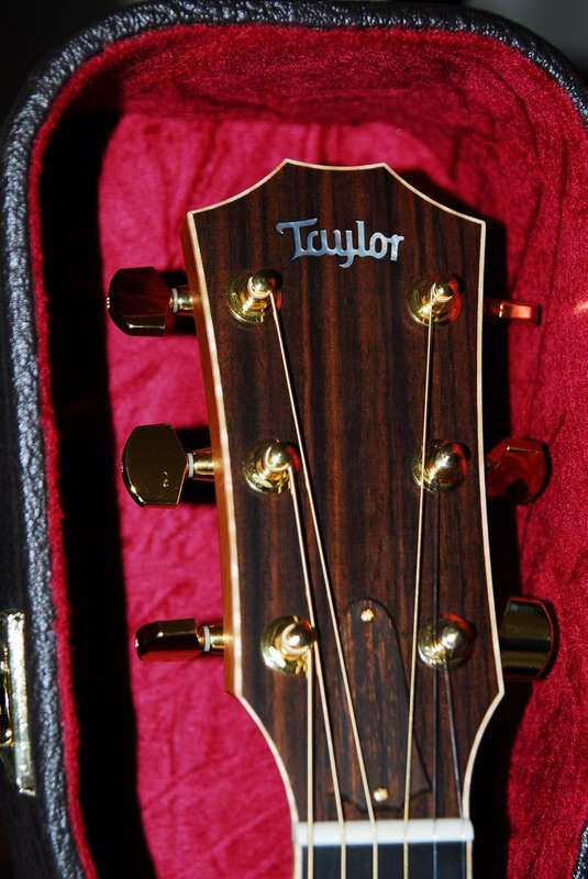 taylor814ce-2.JPG