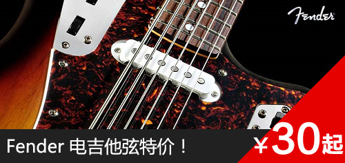 fender电吉他弦-30元起.jpg