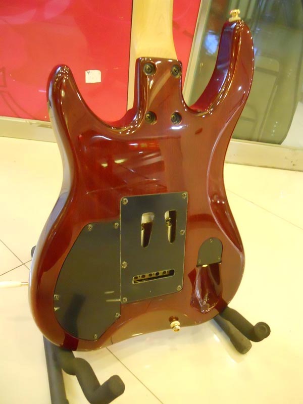 DSCN1242.jpg