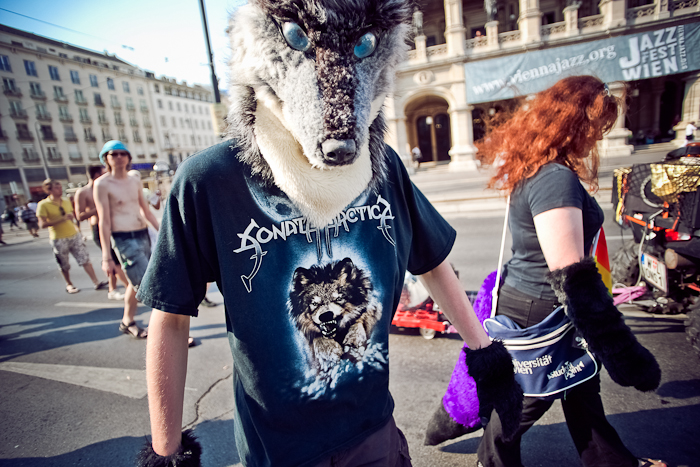 DSC01337.jpg
