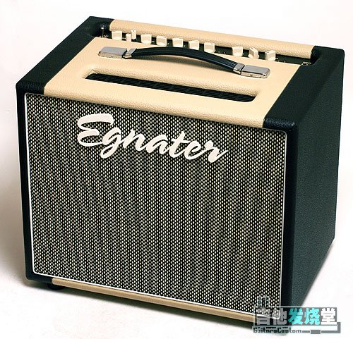 Egnater Rebel 30 Combo A.jpg