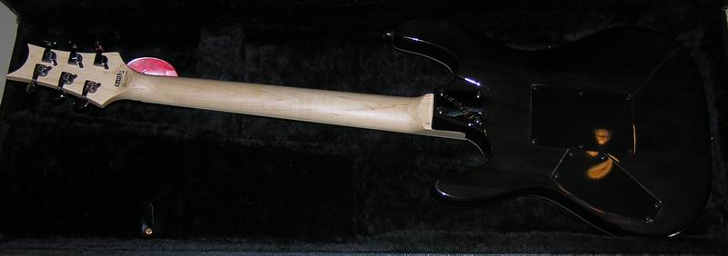 DSCN4630.JPG