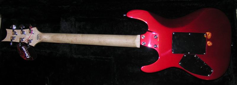 DSCN4647.JPG