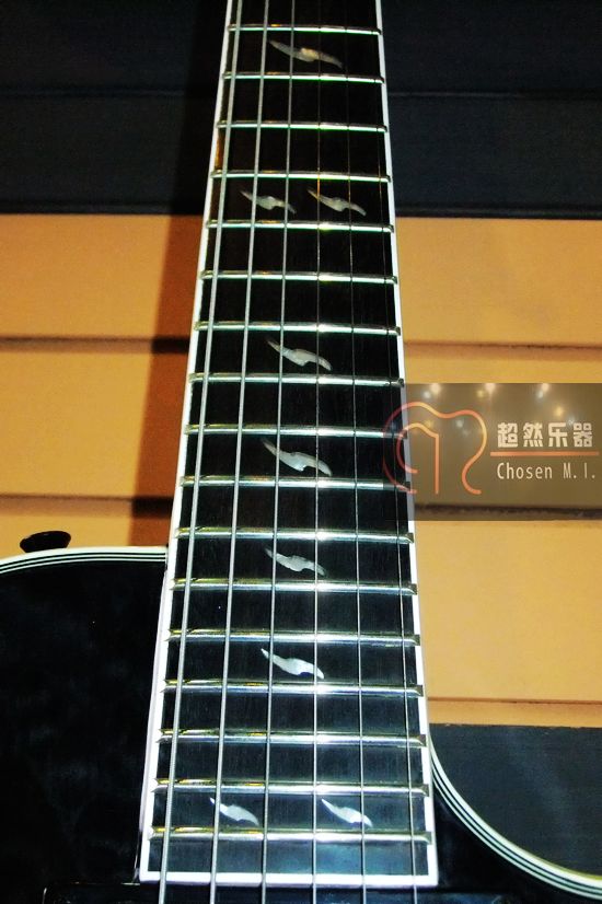 Prophecy Les Paul EX 5.jpg