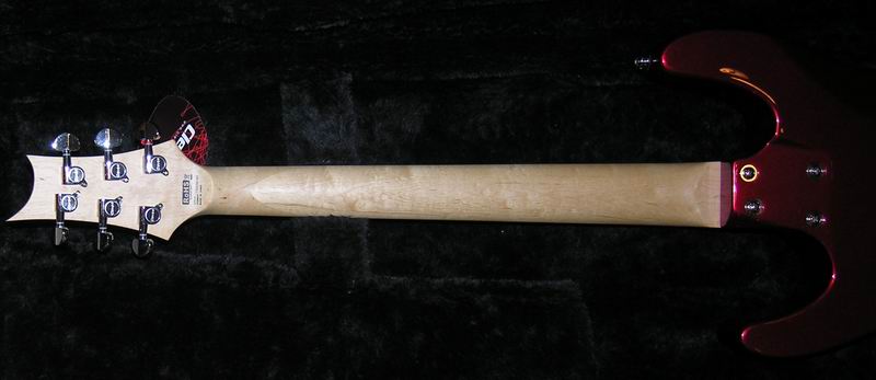 DSCN4648.JPG