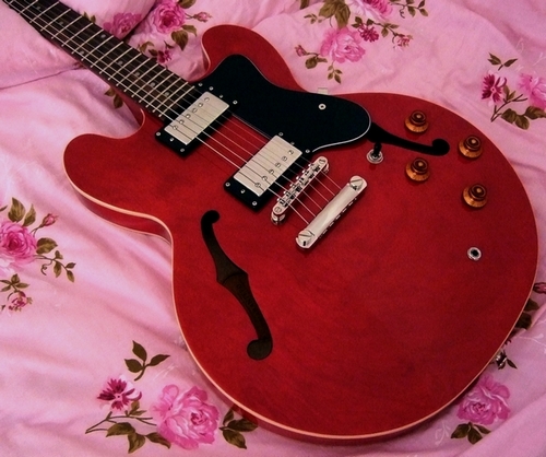 DOT ES-335.jpg