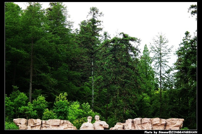 DSCF1309.jpg