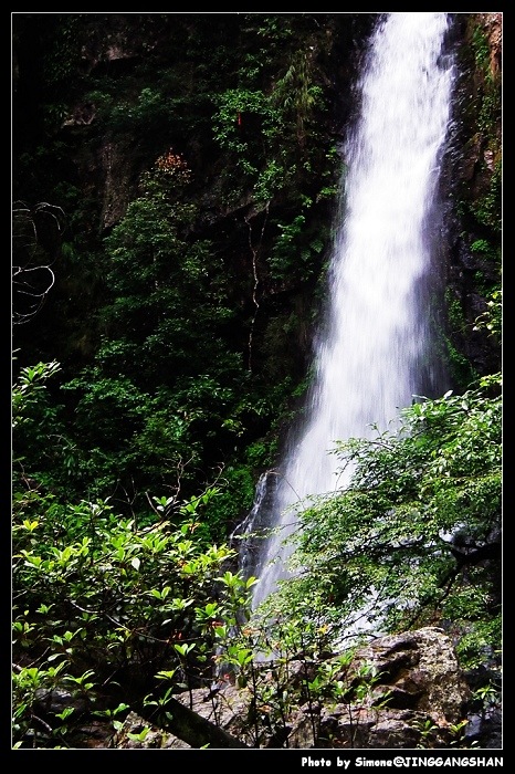 DSCF1417.jpg