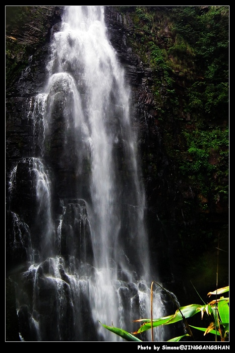 DSCF1408.jpg