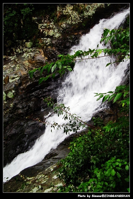 DSCF1433.jpg
