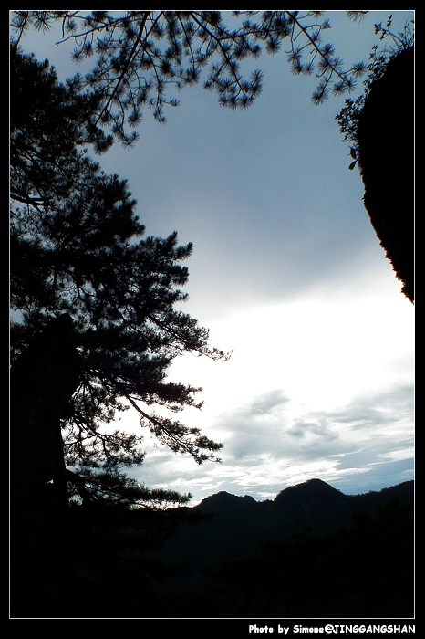 DSCF1396.jpg