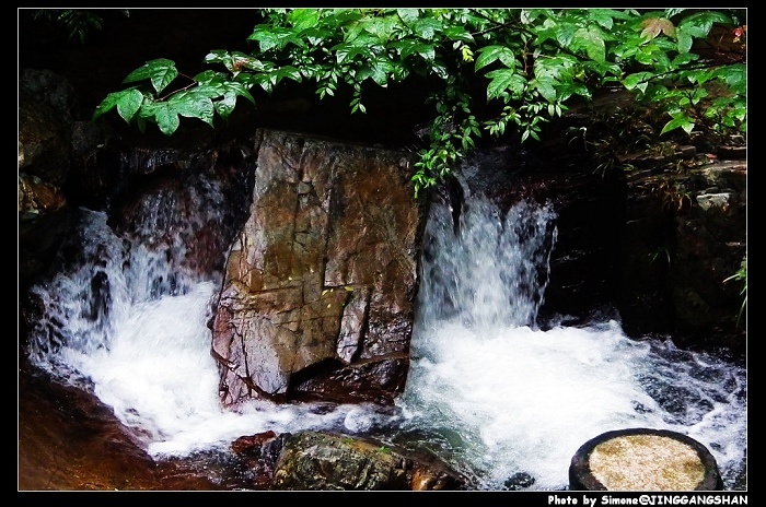 DSCF1413.jpg