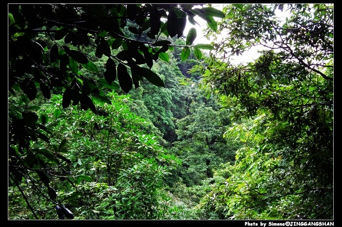 DSCF1353.jpg