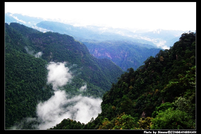 DSCF1371.jpg