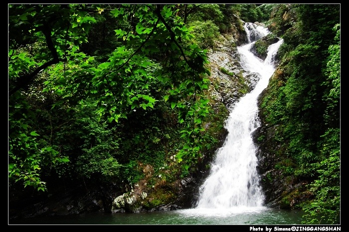 DSCF1441.jpg