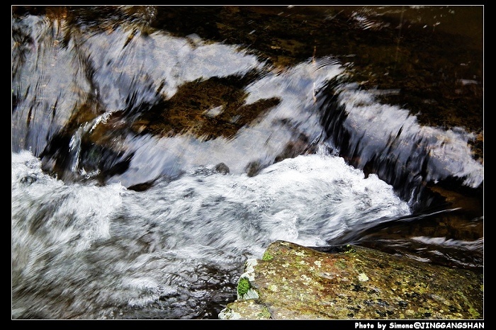 DSCF1419.jpg