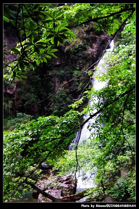 DSCF1415.jpg