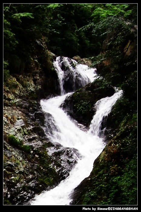 DSCF1440.jpg