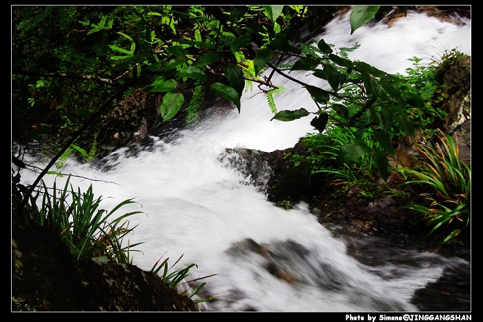 DSCF1421.jpg