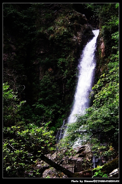 DSCF1416.jpg