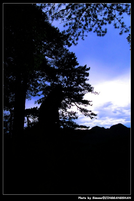 DSCF1395.jpg