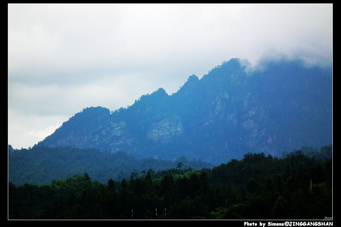 DSCF1319.jpg