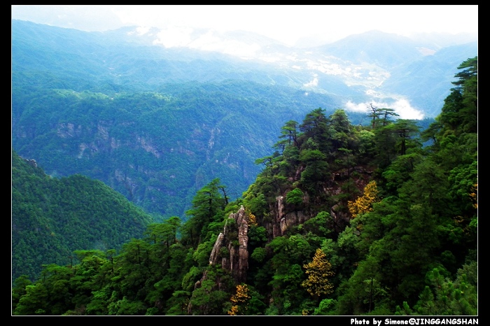 DSCF1387.jpg