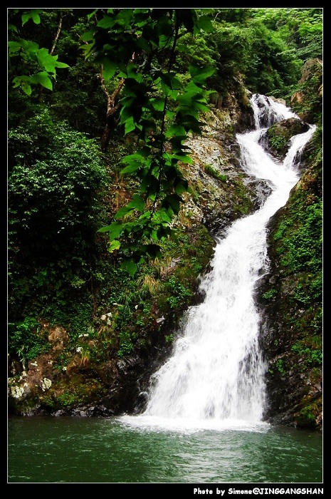 DSCF1437.jpg