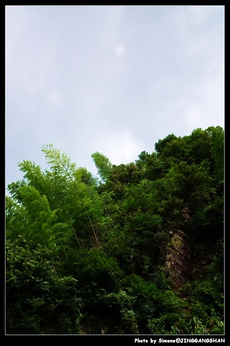 DSCF1337.jpg