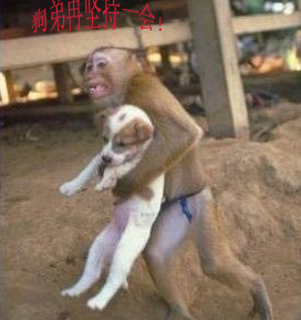 http_imgload副本.jpg